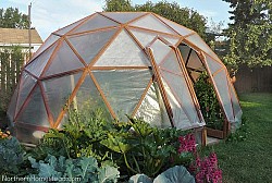 Photo: Northern Homestead/Hometalk