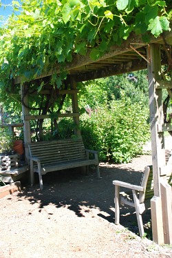 Pergola Photo: penywise/morgueFile