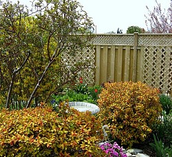 Andrea_44/flickr (crop)