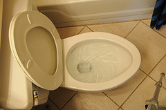 http://www.networx.com/article/how-to-flush-your-toilet-and-waste-less