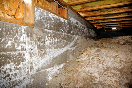 crawl space insulate insulating dirt floors heating networx winter warmer