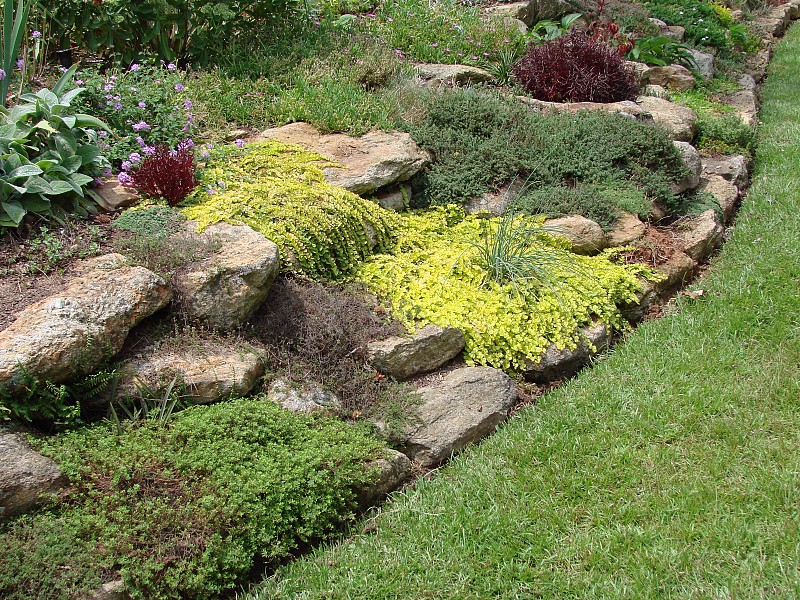 Modern Building A Rockery In Pictures 