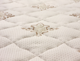 bed mattress bug bugs encasement networx prevention