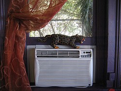 Infrogmation/flickr