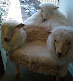 3 Headed Sheep Chair via Freshome.com