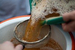 Filtering cider. (Photo: Ben Garney/Flickr)