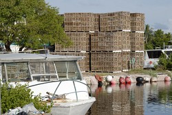 Photo of lobster traps by GlennPeb/sxc.hu.