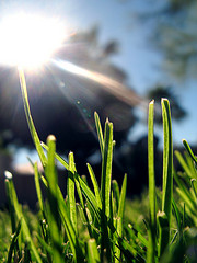 Photo: Kevin Dooley/flickr.com