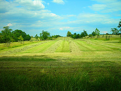 Photo: AJ_Hobbs/flickr.com