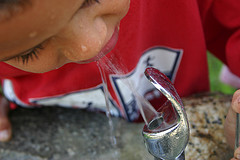 Photo: Respres/flickr