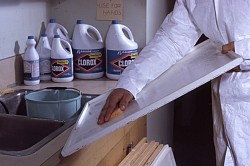 Disinfecting with bleach  R6, State &amp; Private Forestry, Forest Health Protection / flickr   