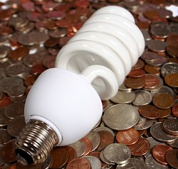 CFL bulbs can save you money. (Photo: Claudio Jule/sxc.hu)