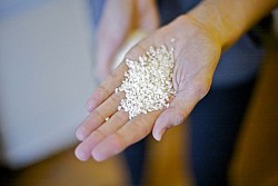 Rice -- what can't it do? --Sayward