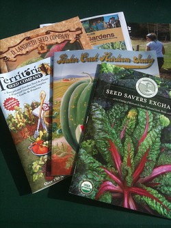 My seed catalogs. --Jordan