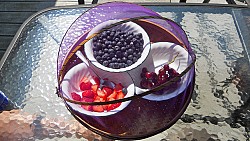 A screen dome like the one pictured is a great way to protect food from pests. (Photo: Nico Paix/Flickr)