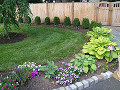 bluestone walkway with belgium block DSC01726