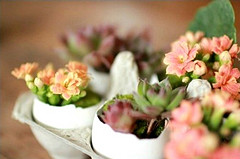 Photo: homestilo/flickr
