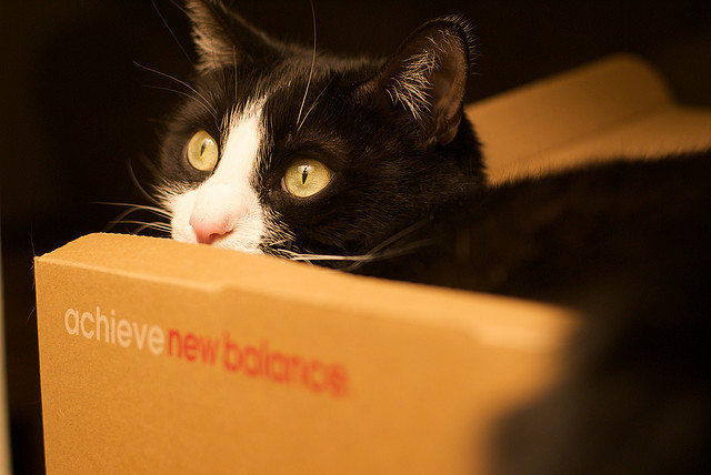 Photo: Jeffrey/Flickr