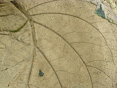 Photo: Lee/flickr