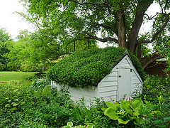 D C Gardens/flickr