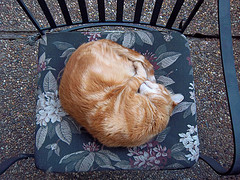 Laurence Simon/flickr