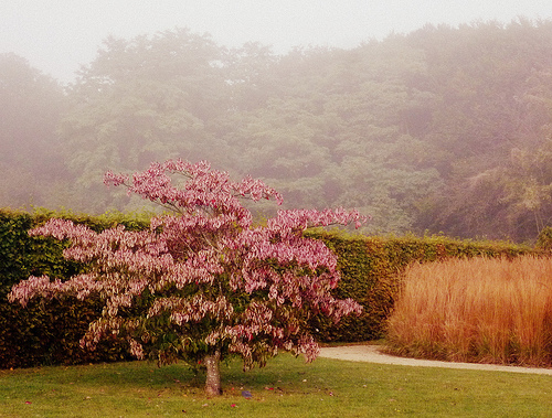 Photo: Emily St Aubert/Flickr