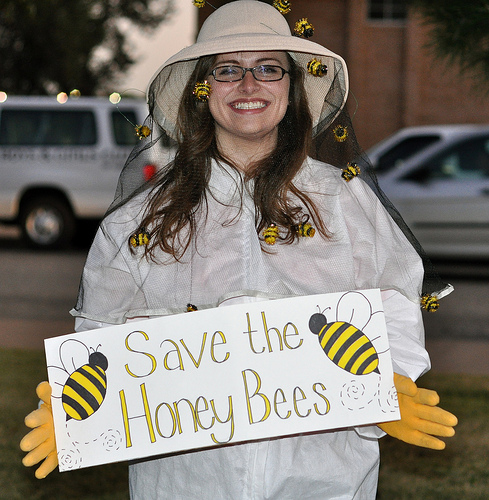 We agree! Save the honey bees! (kimberlykv/sxc.hu)