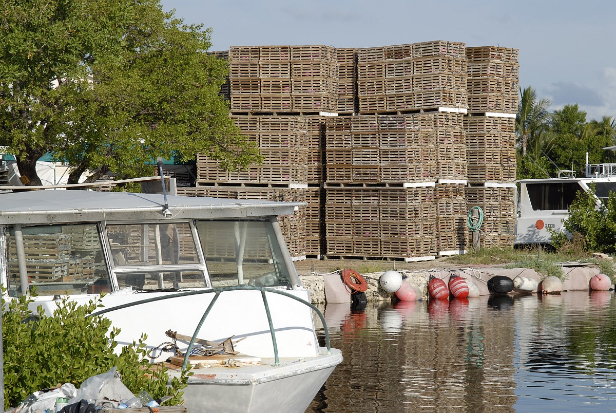 Photo of lobster traps by GlennPeb/sxc.hu.