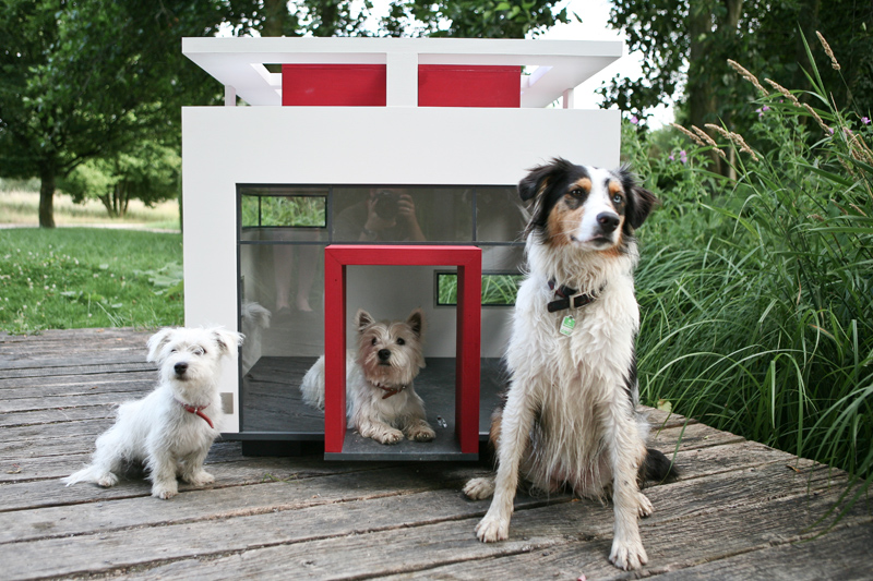 Cubix by Hundehaus via Bestfriendshome.com