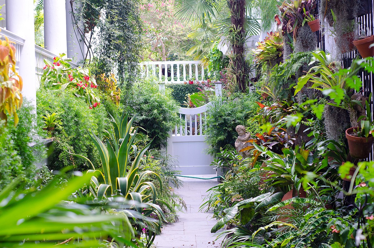 Do you want a lush garden like this one? Encourage earthworms! (Photo: Roger Kirby/sxc.hu)