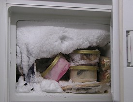 The Amateur's Guide to Defrosting a Freezer - Networx kitchen spotlight wiring diagram 