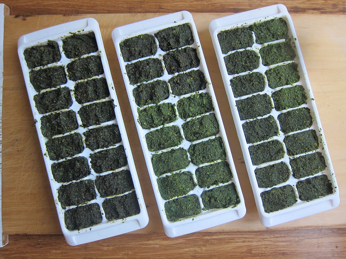 Freeze homemade pesto in ice cube trays and you'll be ready for pasta anytime. (Photo: Sayward Rebhal for Networx.com)