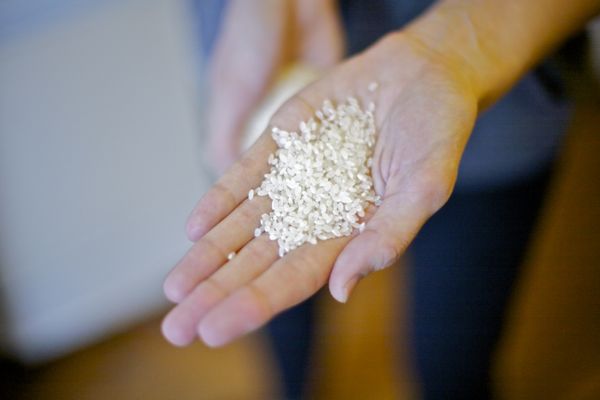 Rice -- what can't it do? --Sayward
