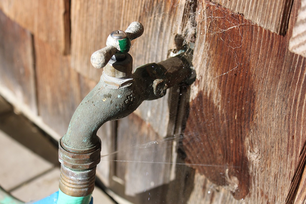 Turn off the tap for water savings. (Photo by the author, s.e. smith.)