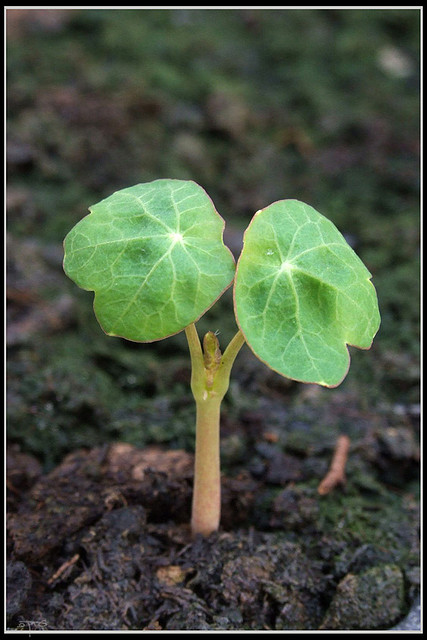 Photo: Eran Finkle/flickr