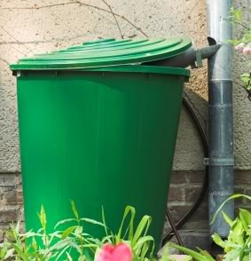 Rain barrel for rainwater harvesting Rain barrel for rainwater harvesting