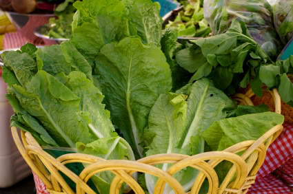 Organic pesticides and herbicides Organic pesticides and herbicides