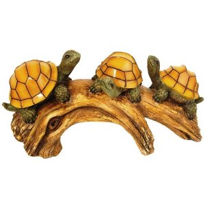 Photo: Amazon.com