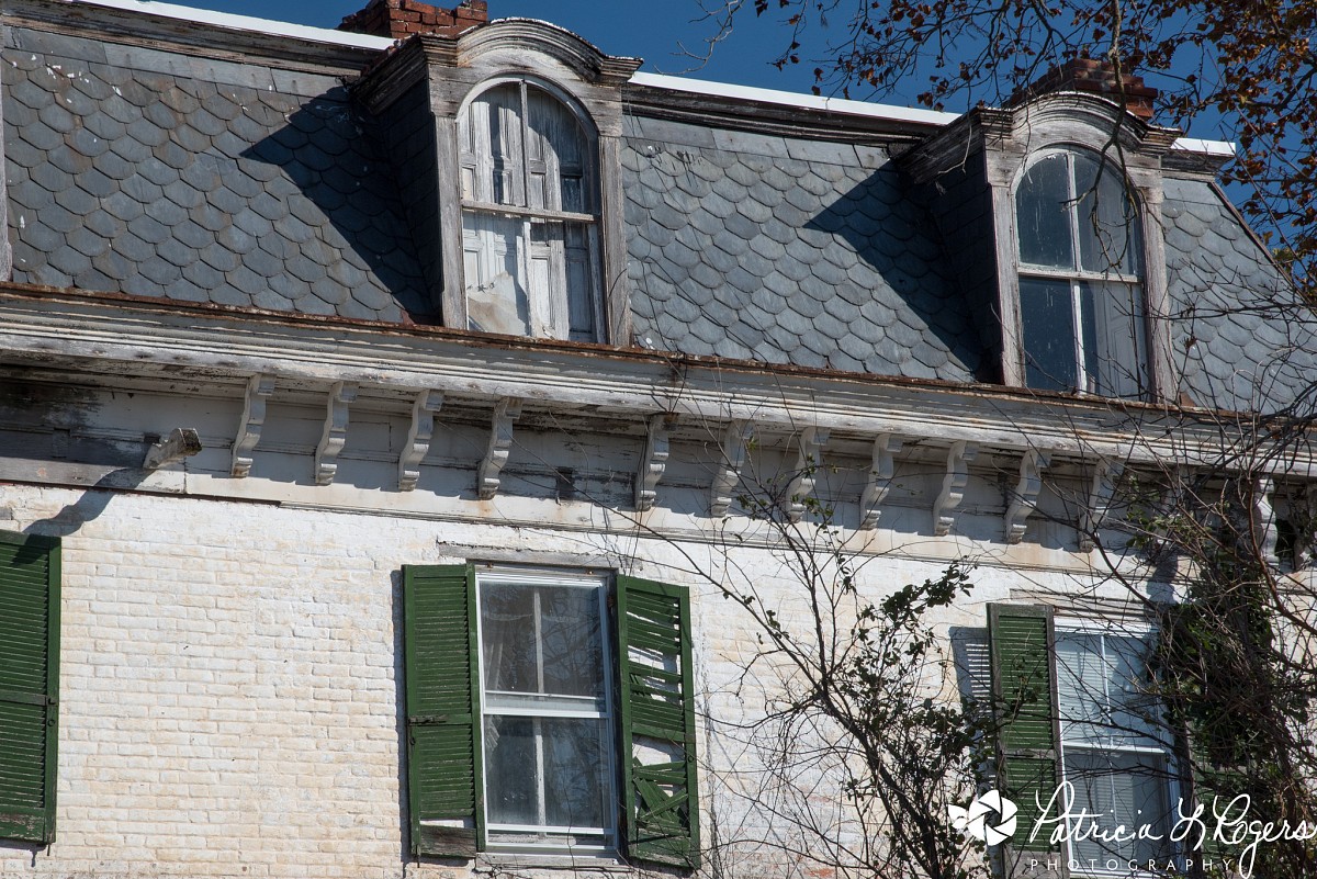 Eyebrow dormer by Robert & Pat Rogers/flickr