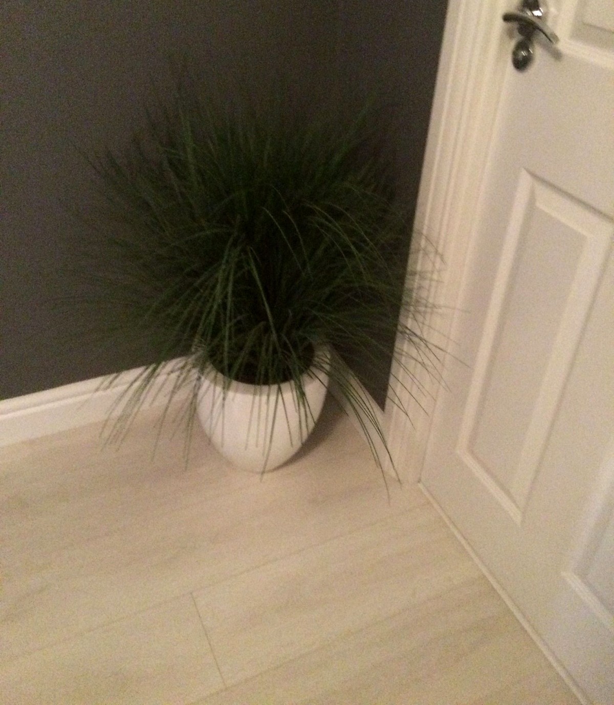 Floorsmk/Flickr/crop
