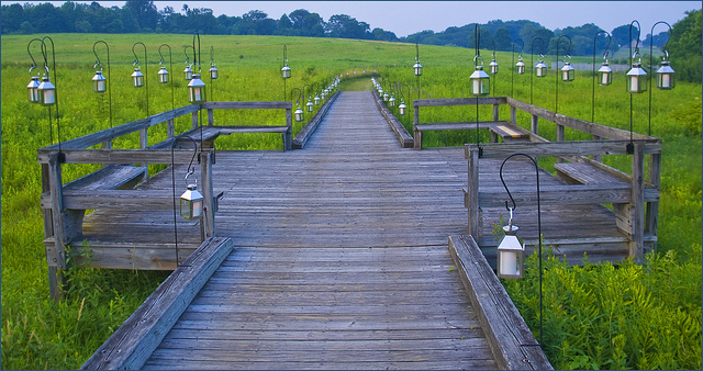 Ron Cogswell/Flickr Creative Commons