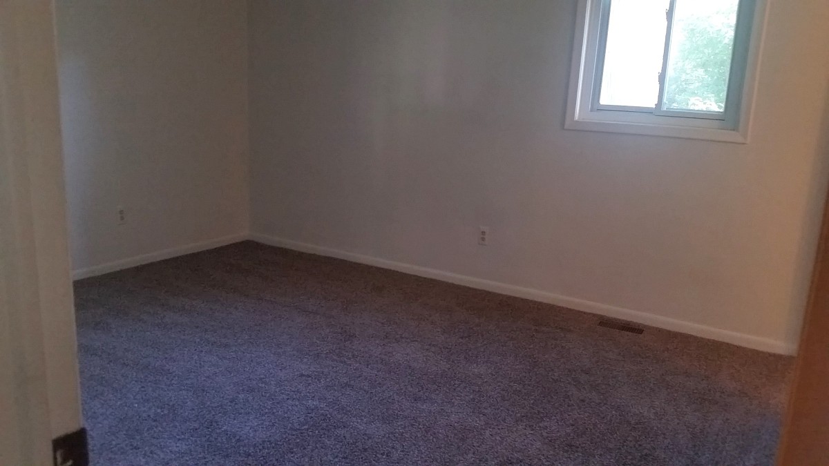New carpet