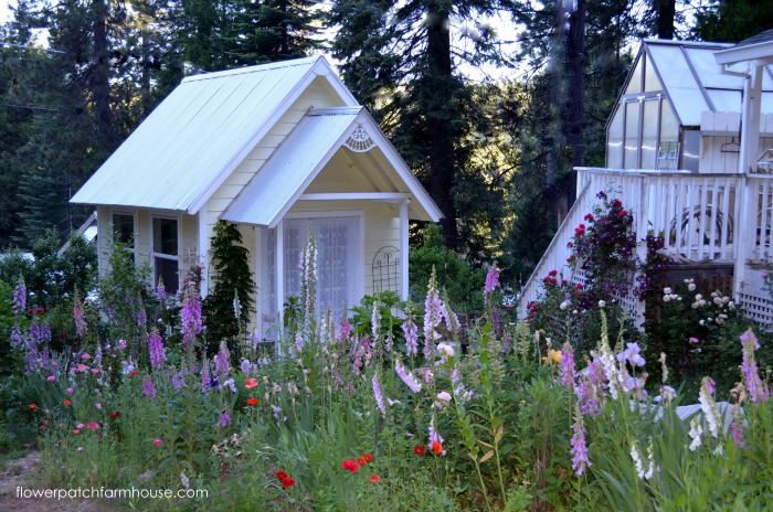 Photo: Pamela Groppe/Hometalk