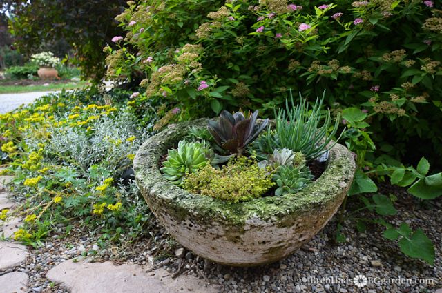 BG_garden/Hometalk.com
