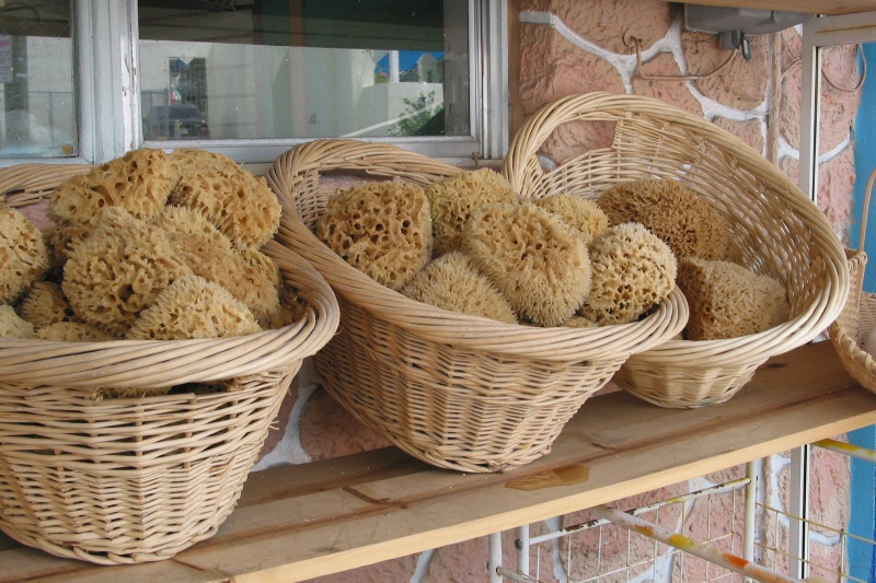 Photo: alcinoe/morguefile.com