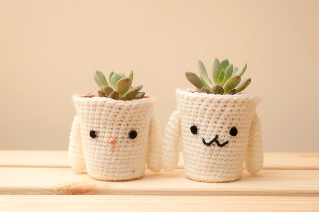 Gift houseplant  Tiny Hole / flickr 