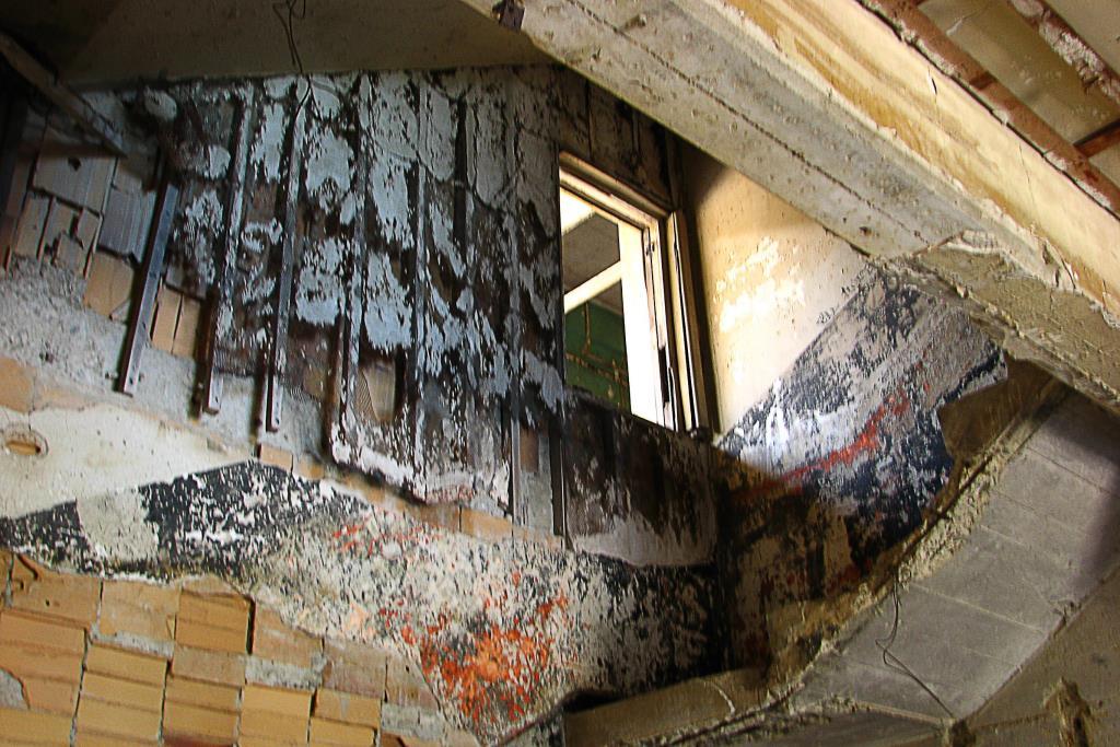 Moldy house lisaleo / Morguefile