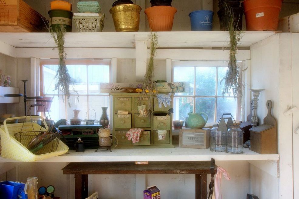 Photo: Tanya Peterson Felsheim/Hometalk