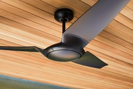 Modern Fan Co / by permission