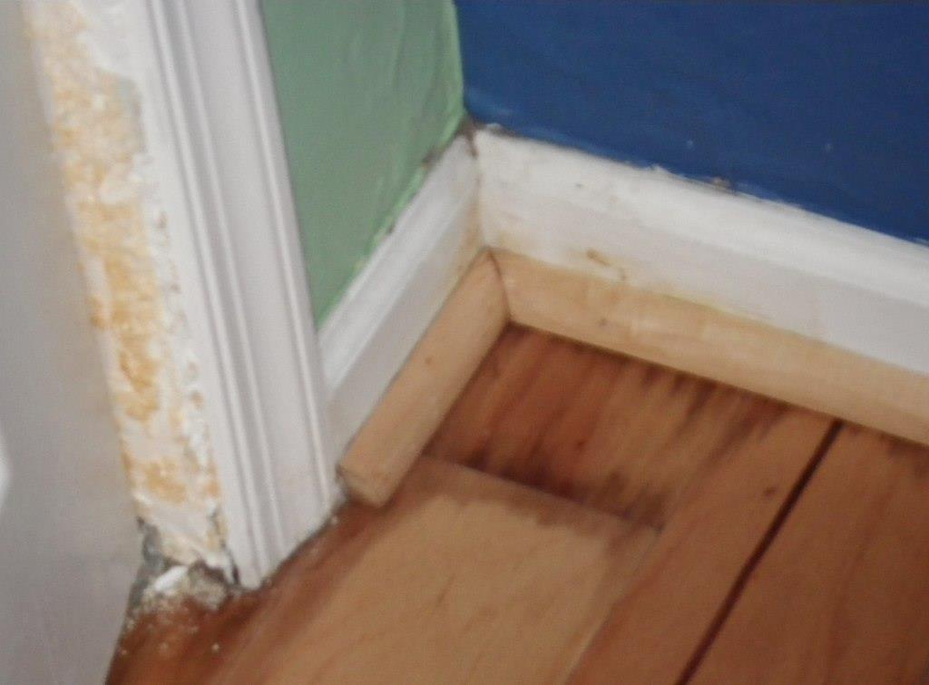  water damaged wood floor by Osseous/flickr (crop)    